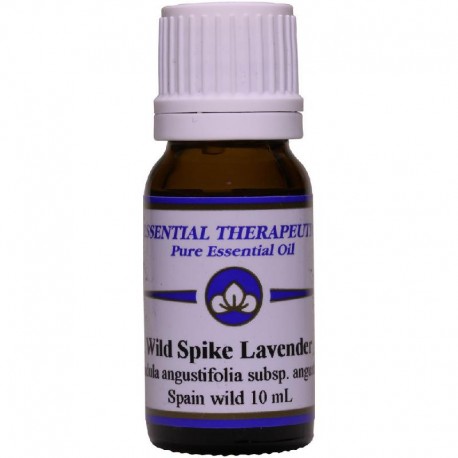 Essential Oil Wild Spike Lavender