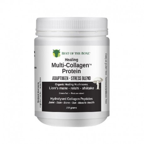 Healing Multi-collagen Protein Powder Adaptogen-stress Blend (organic Healing Mushrooms: Lions Mane Reishi Shiitake)