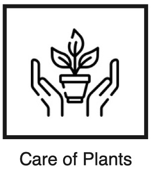 Care of Plants