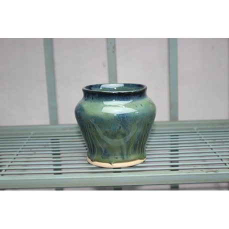 small seaweed vase
