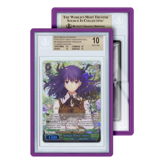 GradedGuard: Standard Case BGS (Purple)