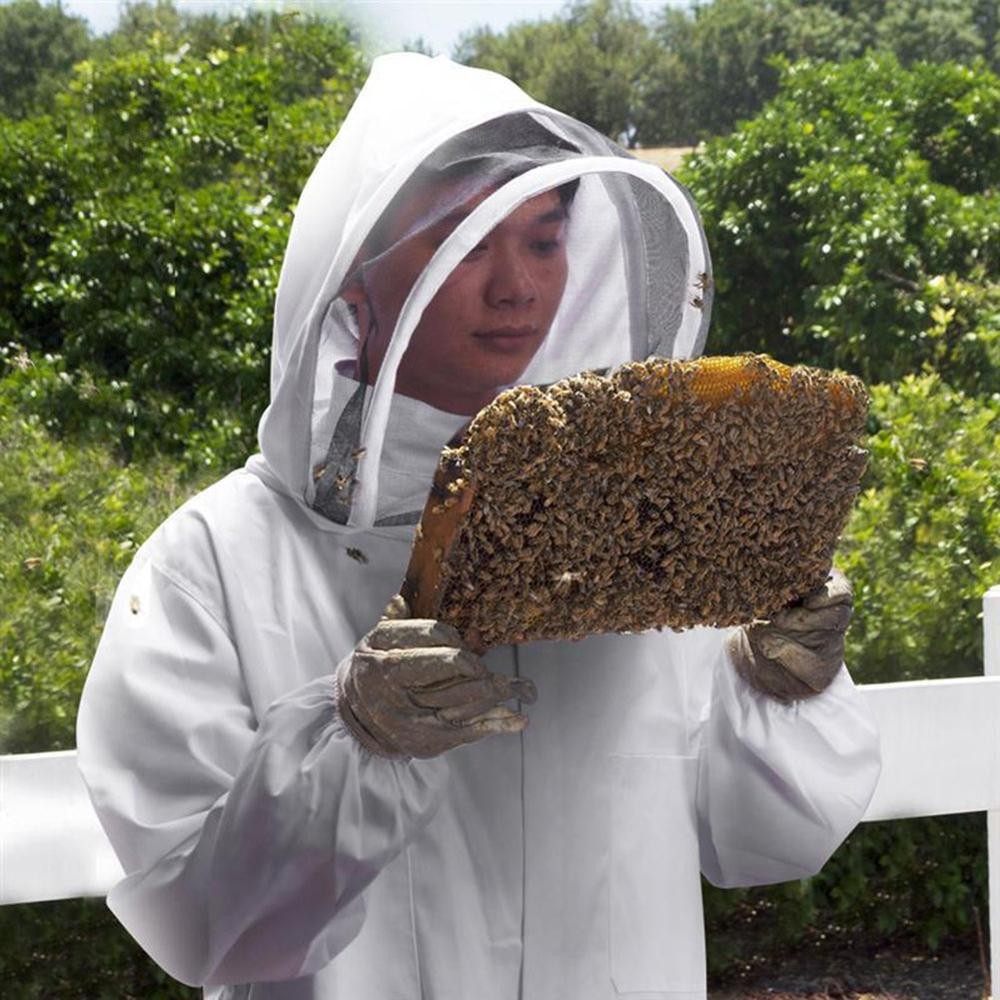 Beekeeping Supplies Suit Bee Keeper Jacket Veil Suit & Gloves and Bee Hive Tool 