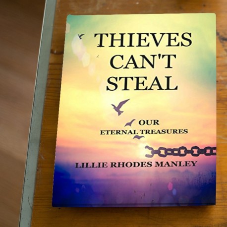 Daily Christian Devotions Thieves Cant Steal