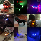 Glowing LED Dog Collar Anti-Lost Nylon Light For Dogs & Puppies