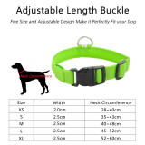 Glowing LED Dog Collar Anti-Lost Nylon Light For Dogs & Puppies