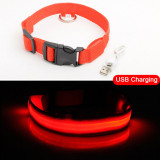 Glowing LED Dog Collar Anti-Lost Nylon Light For Dogs & Puppies