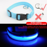 Glowing LED Dog Collar Anti-Lost Nylon Light For Dogs & Puppies