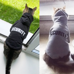 Security Cat Clothes Pet Cat Coats Jacket Hoodies For Cats Outfit Warm Pet Clothing.