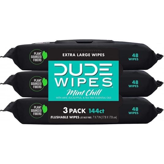 DUDE Wipes – Flushable Wipes – 3 Pack, 144 Wipes – Mint Chill Extra-Large Adult Wet Wipes – Vitamin-E, Aloe, Eucalyptus & Tea Tr