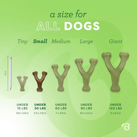 Benebone Wishbone Durable Dog Chew Toy for Aggressive Chewers, Made in USA, Small, Real Bacon Flavor