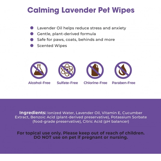 Best Pet Supplies 8″ x 9″ Pet Grooming Wipes for Dogs & Cats, 100 Pack, Plant-Based Deodorizer for Coats & Dry, Itchy, or Sensit