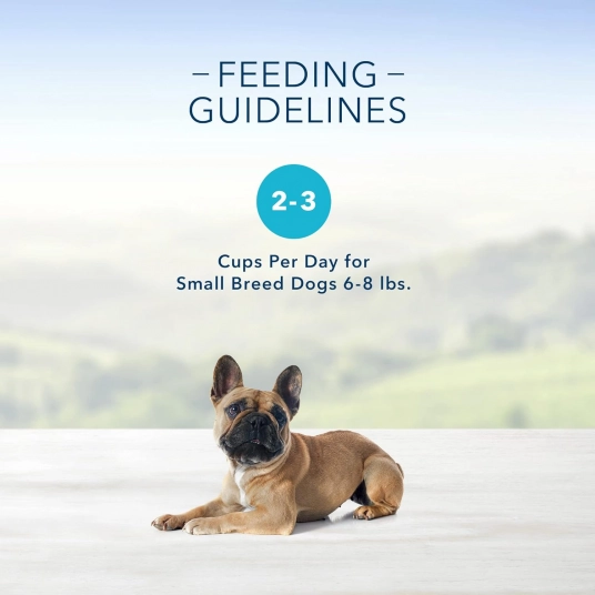 Blue Buffalo Delights Natural Adult Small Breed Wet Dog Food Cup, Filet Mignon Flavor in Hearty Gravy 3.5-oz (Pack of 12)