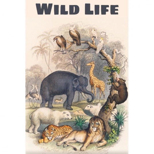 Wildlife 1