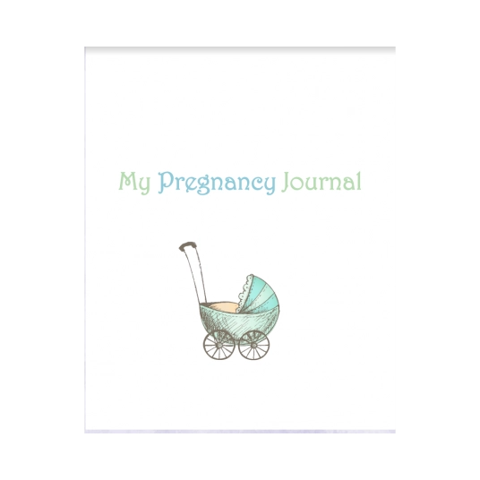My Pregnancy Journal