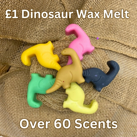 Dinosaur £1 Soy Wax Melts 4 Shapes and over 60 Scents