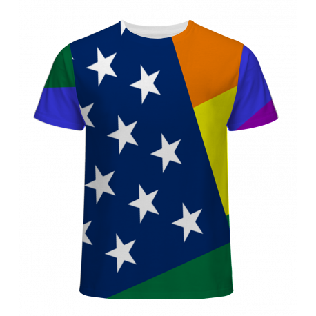 Men's Gay Pride USA Flag Tee shirt