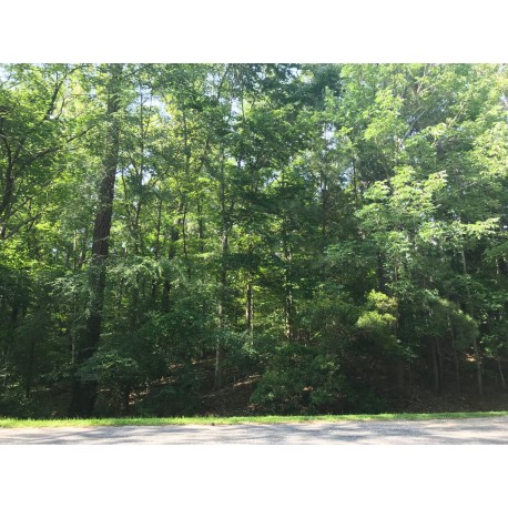 Vance County – .85 acres Burning Tree Dr., Henderson, NC