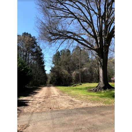 5 Acres of Land York, SC – with OWNER FINANCING potential subdivision or apartment complex