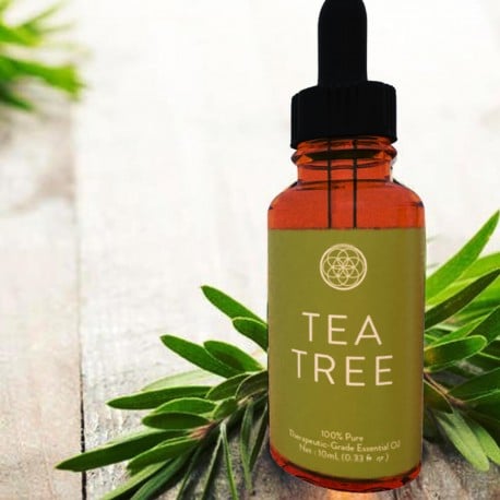 Tea Tree