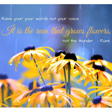 Raise Your Words Not Your Voice - Rumi Quote Canvas Painting