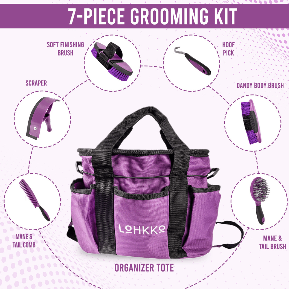 horse grooming kit