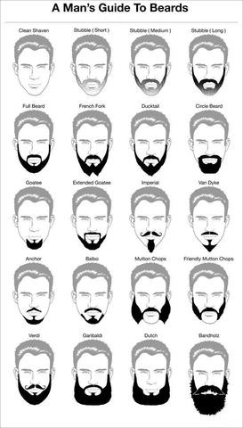 Beard shaping tool directions