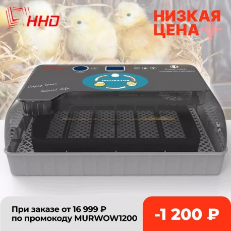 Digital 4 35 Chick egg Hatchery machine  Automatic Brooder