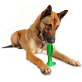 PERFECT POOCH - Dog Teeth Cleaning Natural Rubber Chew Toy