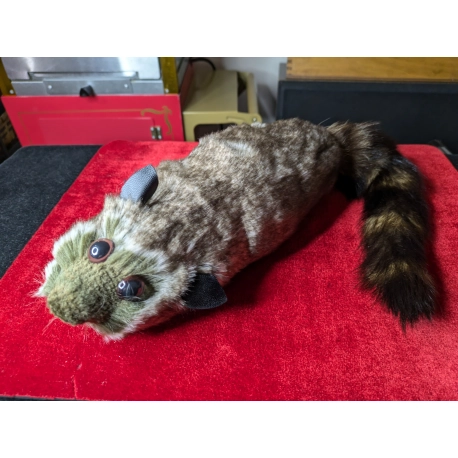 Rascal The Raccoon