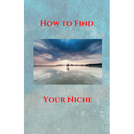 How to find your Niche