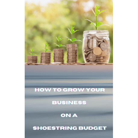 How to Grow your business on a Shoestring budget