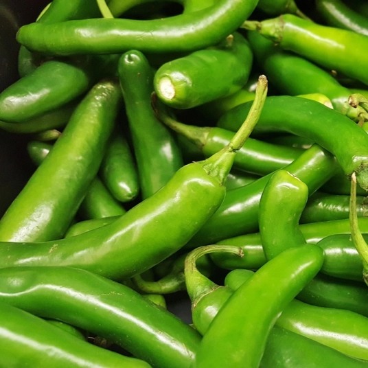 Organic Hot Pepper Plant Starter (Serrano)