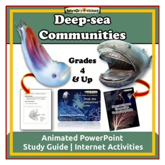 Ocean Animals Deep-sea Community PowerPoint and Study Guide