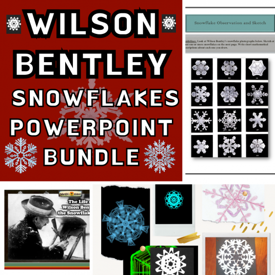 Wilson Snowflake Bentley PowerPoint Unit Study BUNDLE