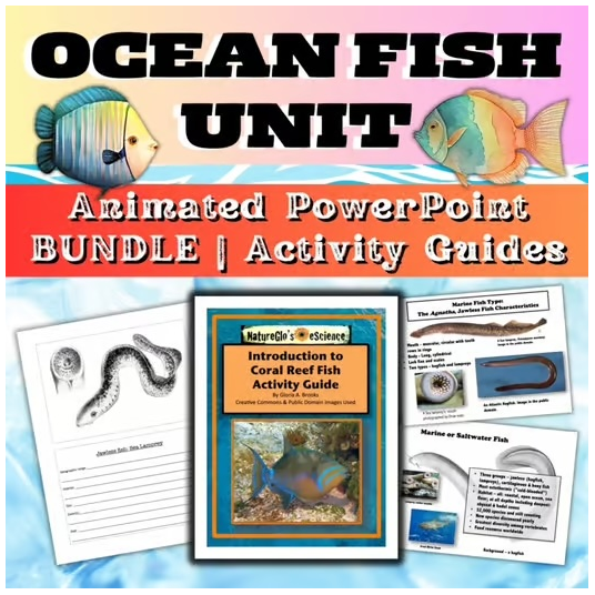 Marine Biology Fish of the World Unit Study PowerPoint BUNDLE
