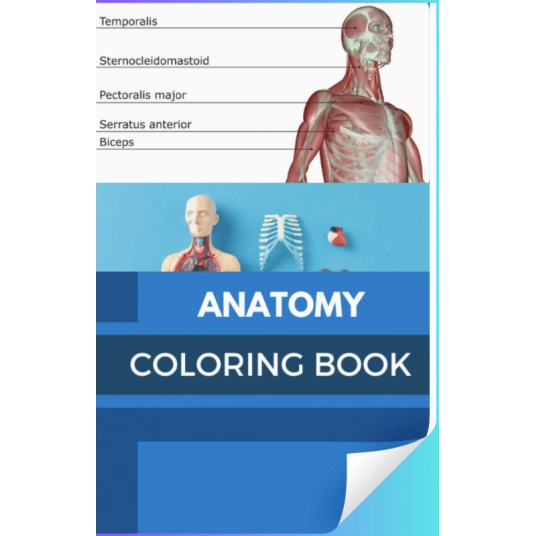 Anatomy Coloring Book