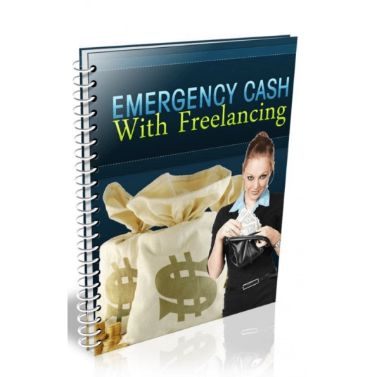 Emergency Cash With Freelancing