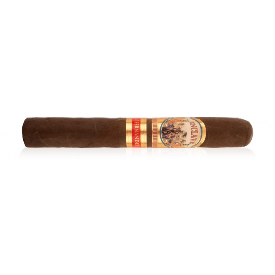 ENCLAVE Habano [Robusto] 20ct