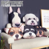 Cute Dog Pillows