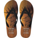 Baratheon Flip Flops
