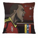 Vinotinto FVF Pillow Case