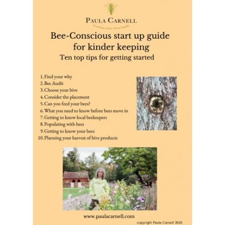 Bee Conscious Kinder Keeping start up guide