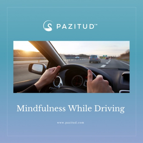 Mindfulness While Driving