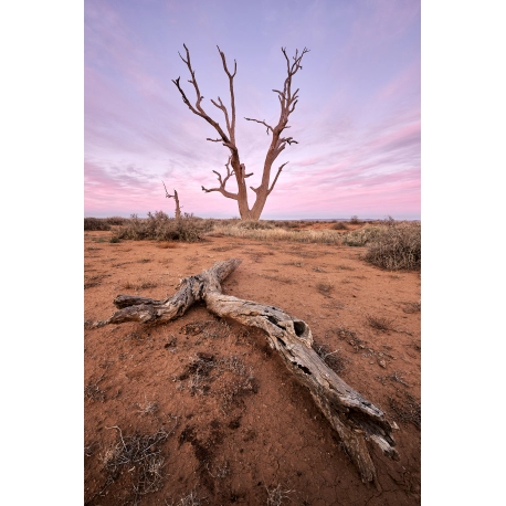 The Desolate Outback