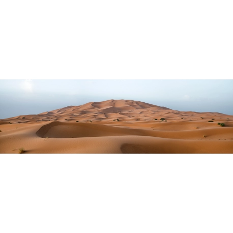 Sahara's Harsh Landscape
