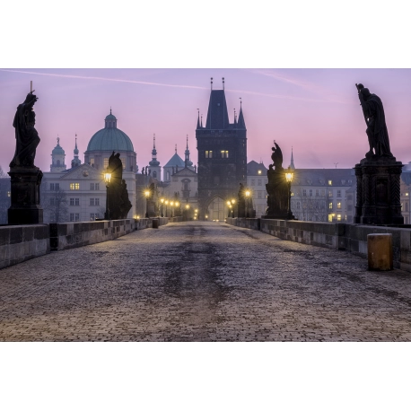 Prague's Gothic Bridge