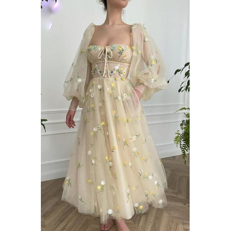 Appliques Embroidery A-Line Cream Tulle Long Prom Dress