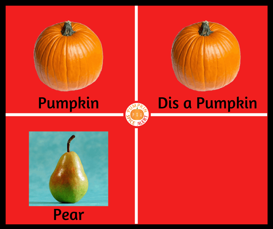 dis a pumpkin meme