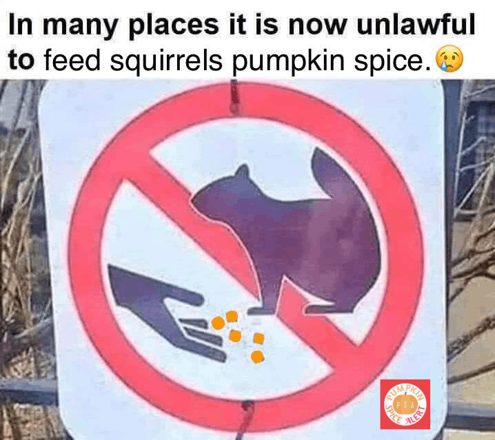 don't feed the squirrels meme