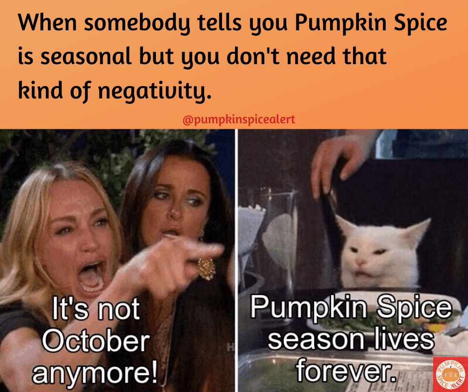 pumpkin spice cat lady meme